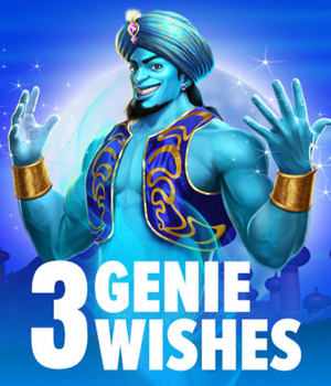 3 Genie Wishes